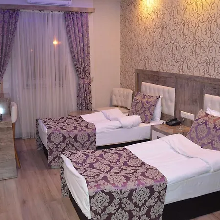 호텔 Le Grand 아다나